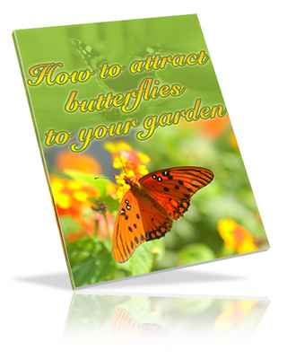 Product picture How To Attract Butterflies to Your Garden - plr