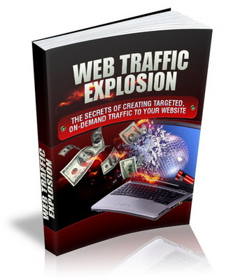 Product picture Web Traffic Explosion - MRR