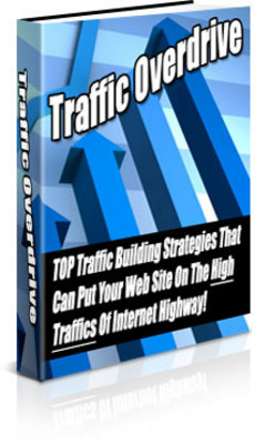 Product picture Traffic Overdrive - plr+bonus