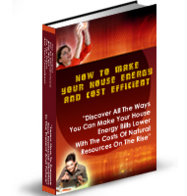 Product picture How to Make Your Home Energy And Cost Efficient -plr