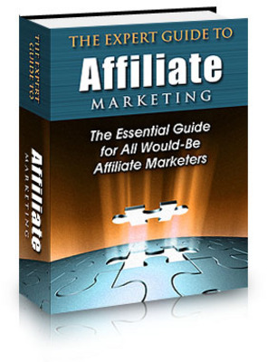 Product picture The Expert Guide to  Affiliate Marketing - plr+bonus