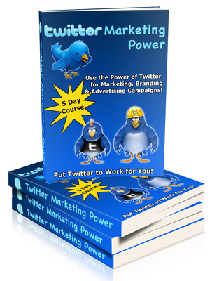 Product picture Twitter For IM Professionals - PLR